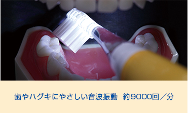 歯やハグキにやさしい音波振動 約9000回/分