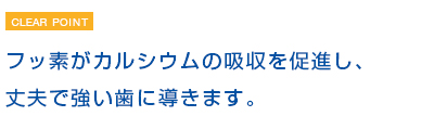 フッ素がカルシウムの吸収を促進し、丈夫で強い歯に導きます。