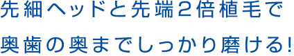 先細ヘッドと先端2倍植毛で奥歯の奥がしっかり磨ける!