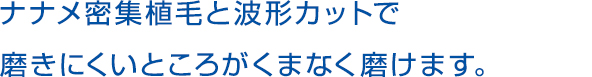   ナナメ密集植毛と波形カットで磨きにくいところがくまなく磨けます。