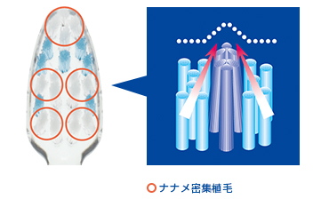 ナナメ密集植毛