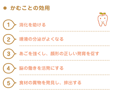 かむことの効用。１消化を助ける。２唾液の分泌がよくなる。３あごを強くし、顔形の正しい発育を促す。４脳の動きを活発にする。5食材の異物を発見し、排出する。